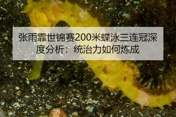 张雨霏世锦赛200米蝶泳三连冠深度分析：统治力如何炼成